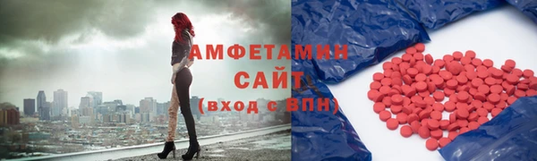 прущие грибы Аркадак