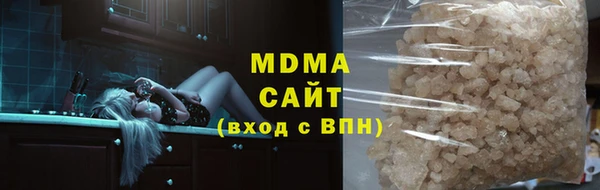 прущие грибы Аркадак